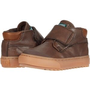 POLO RALPH LAUREN boys Wyse Chocolate Toddler 6
